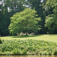 Photo de belgique - Le jardin botanique de Meise